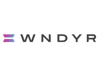 PT Pro wndyr logo